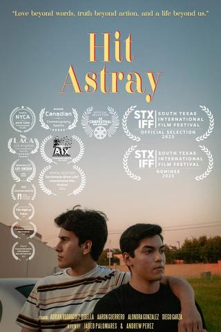 Hit Astray poster