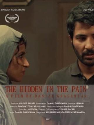 The Hidden in the Pain poster