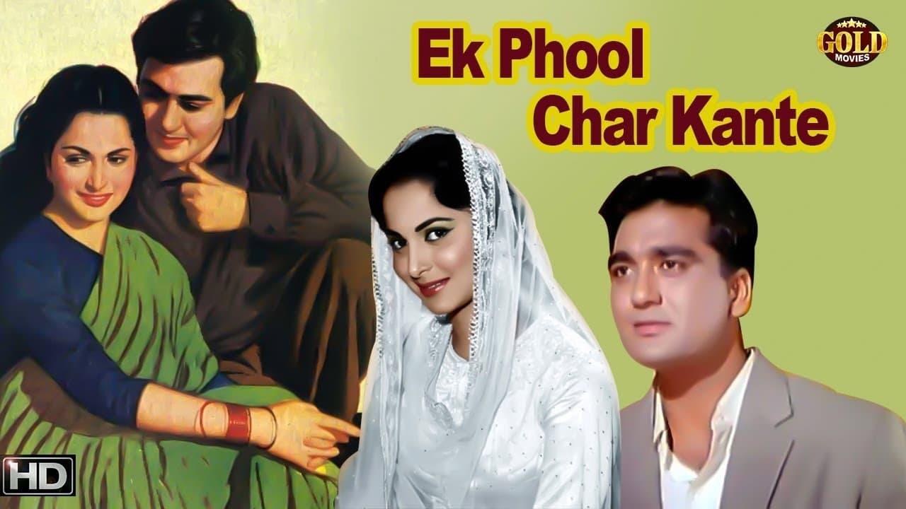 Ek Phool Char Kaante backdrop