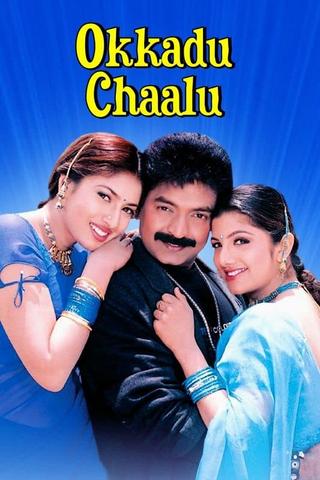 Okkadu Chaalu poster