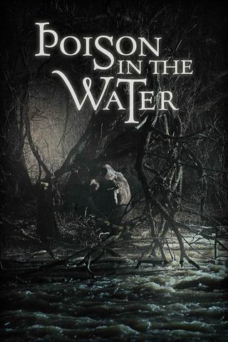 Poison in the Water poster