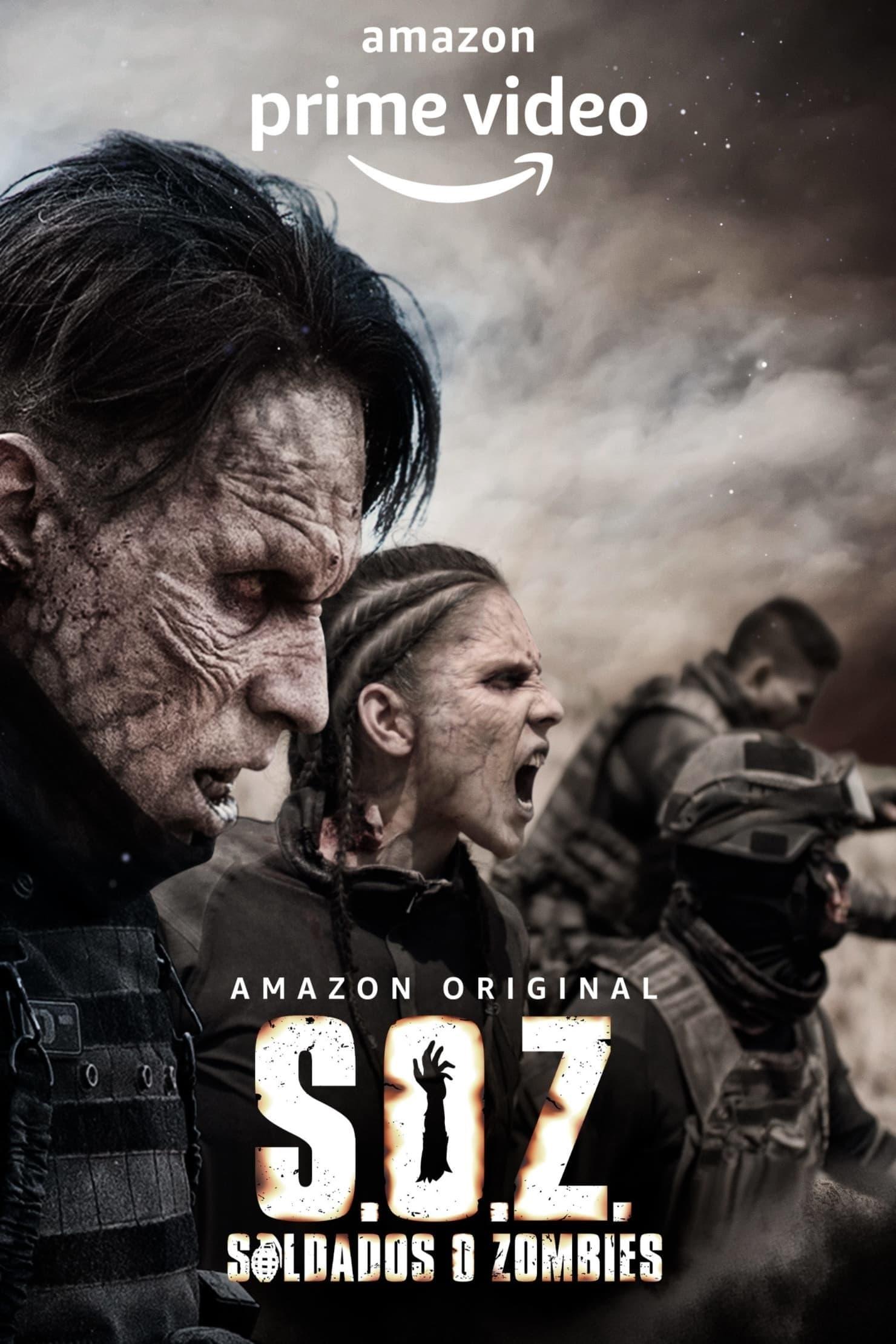 S.O.Z: Soldiers or Zombies poster