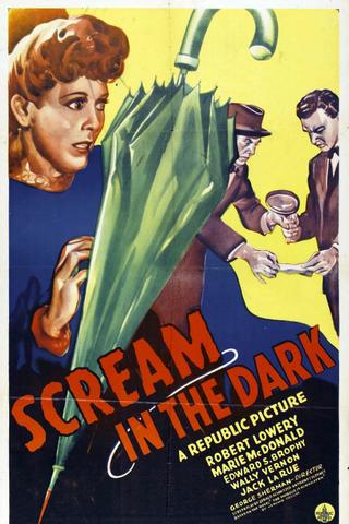 A Scream in the Dark poster