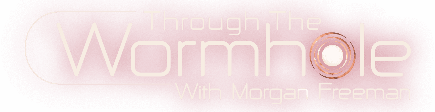 Through the Wormhole logo