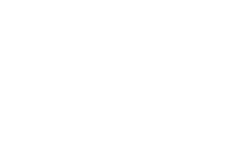 The Vow logo