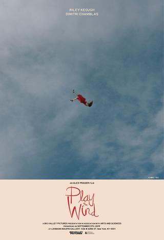 Play the Wind poster