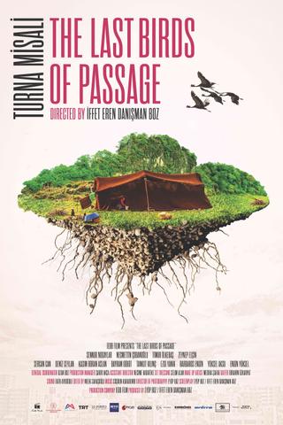 The Last Birds of Passage poster