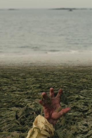 Evil Seaweed poster