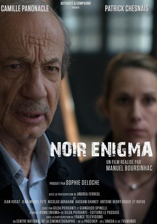 Noir Enigma poster