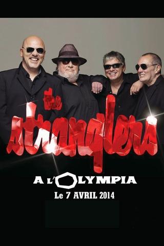 The Stranglers à l'Olympia poster