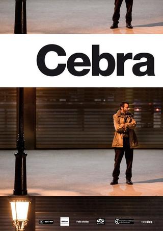 Cebra poster