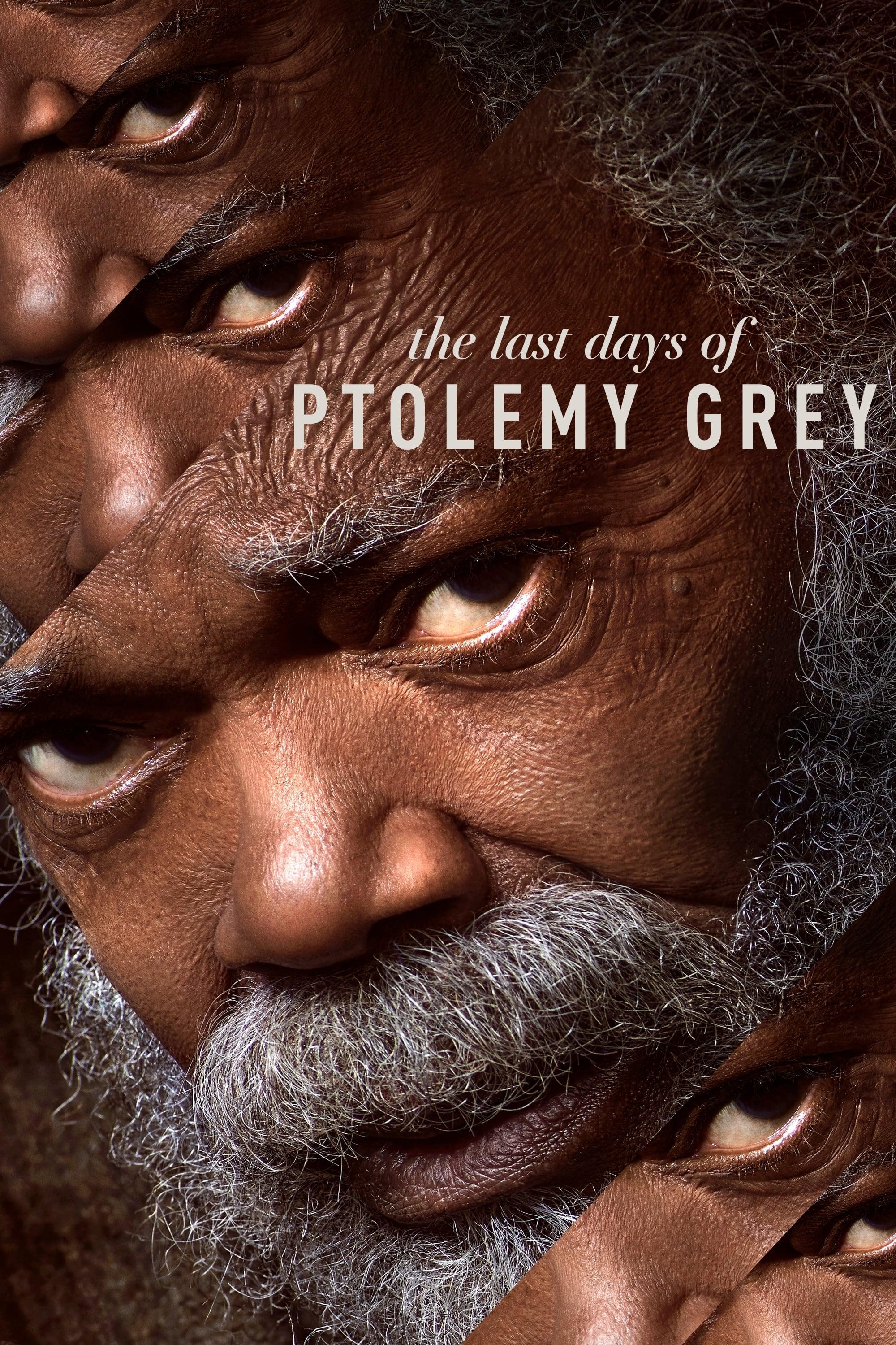 The Last Days of Ptolemy Grey poster