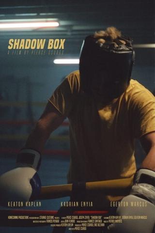 Shadow Box poster