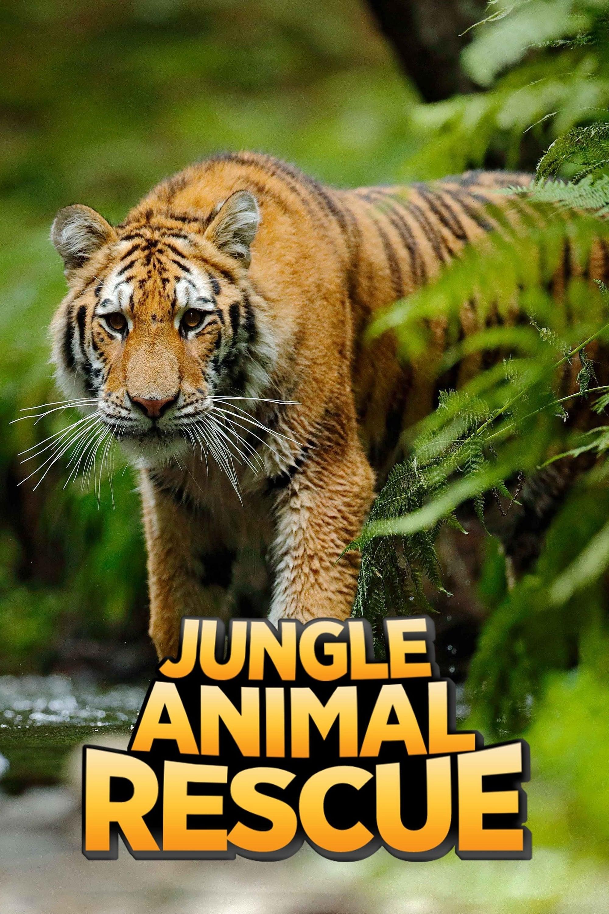 Jungle Animal Rescue poster
