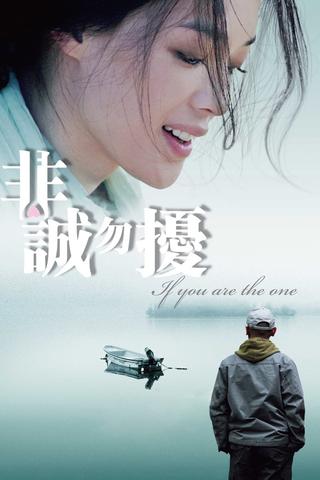 If You Are the One poster