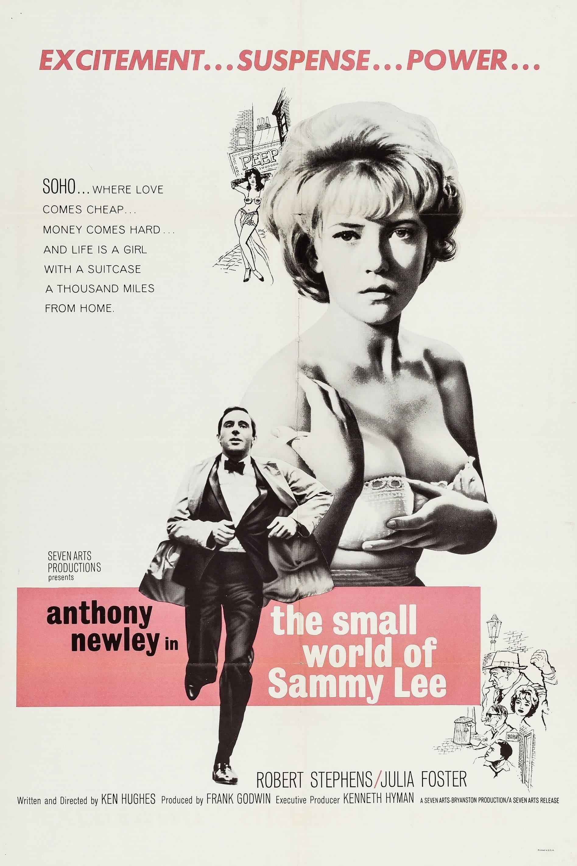 The Small World of Sammy Lee poster