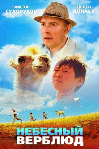 Celestial Camel poster