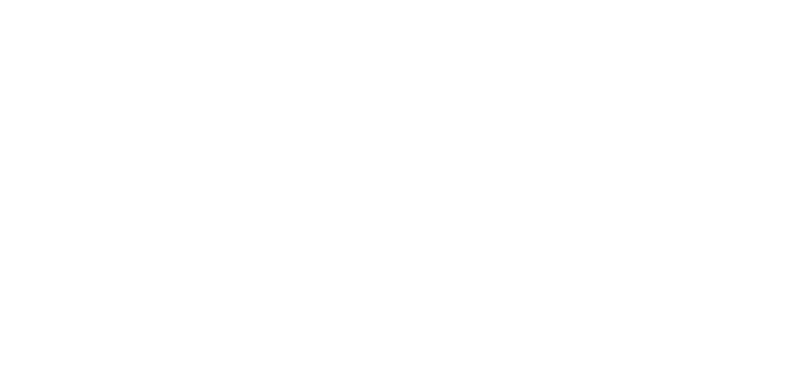 DMZ logo