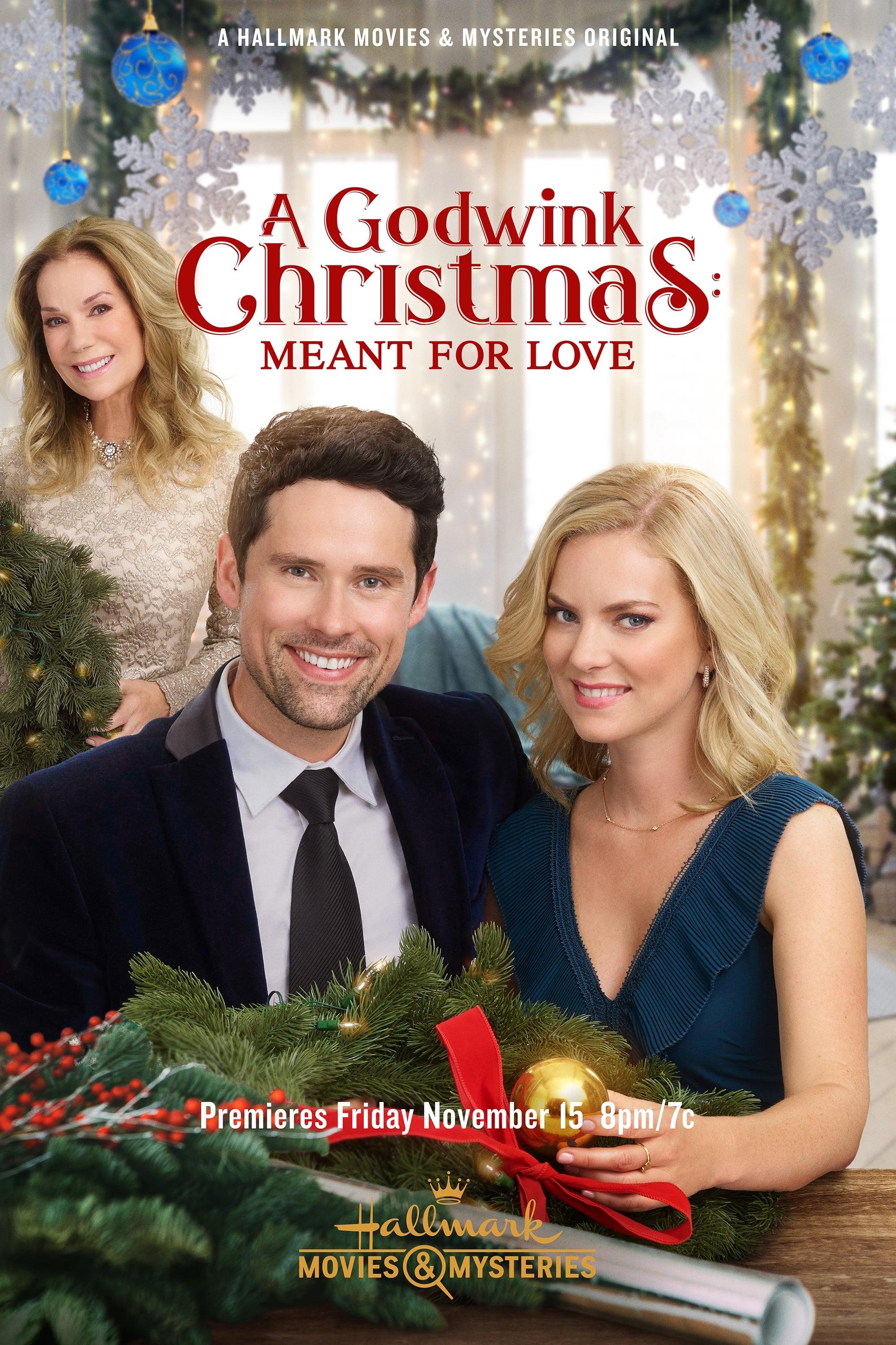 A Godwink Christmas: Meant For Love poster