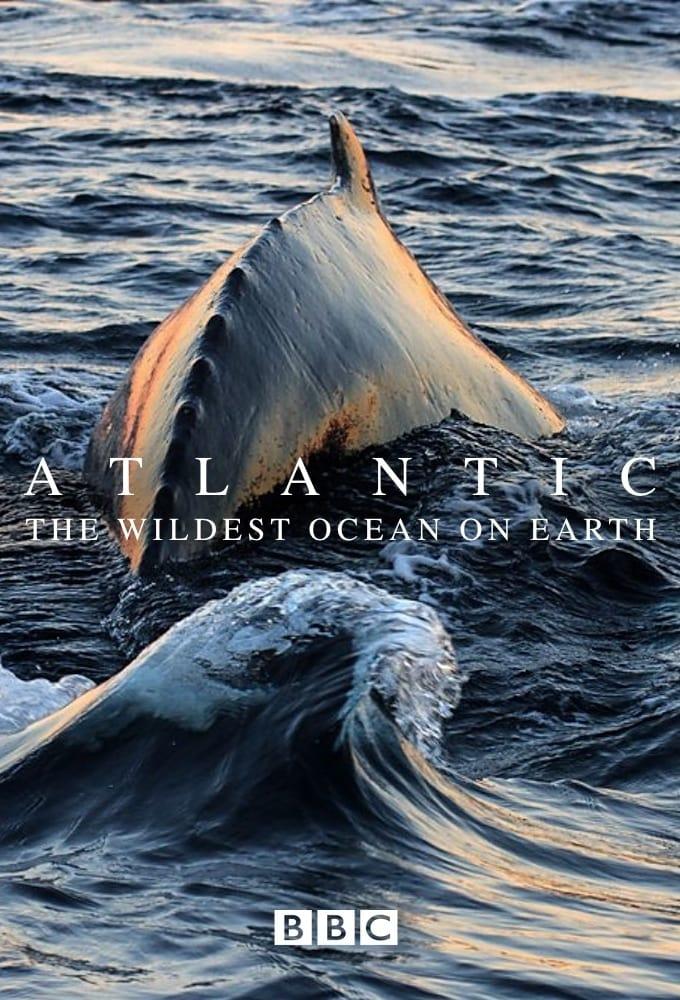 Atlantic: The Wildest Ocean on Earth poster