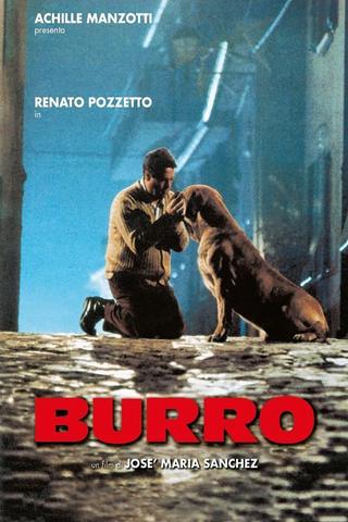 Burro poster