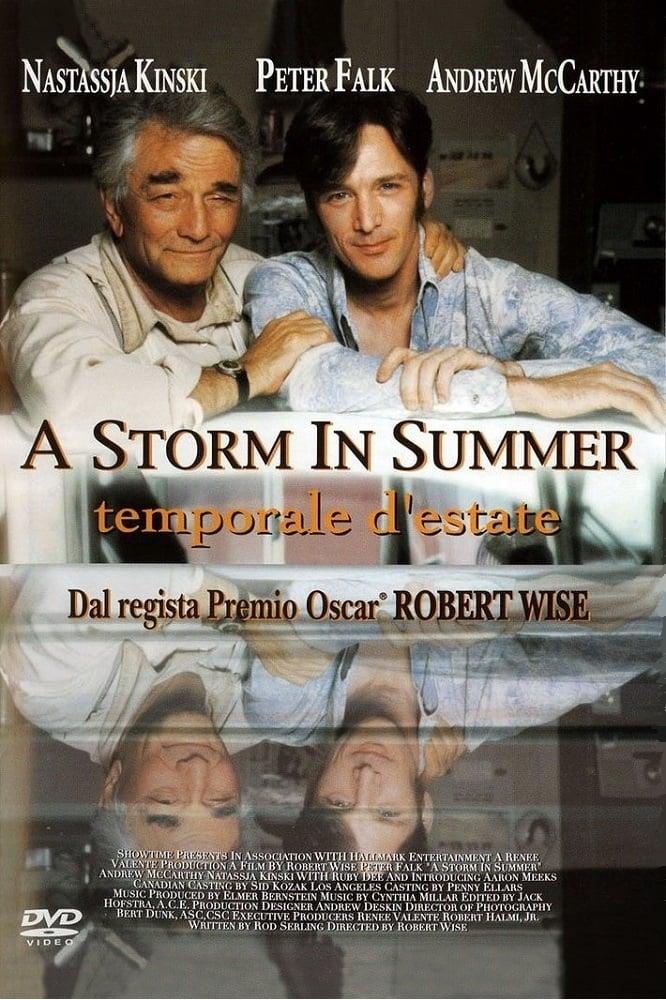 A Storm in Summer poster