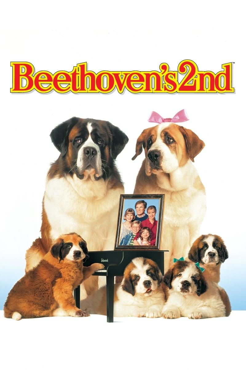 Beethoven's 2nd poster