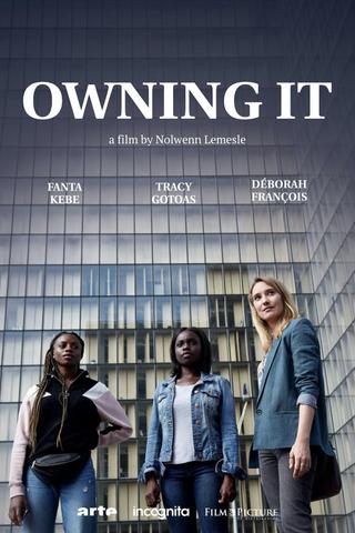 Owning it poster