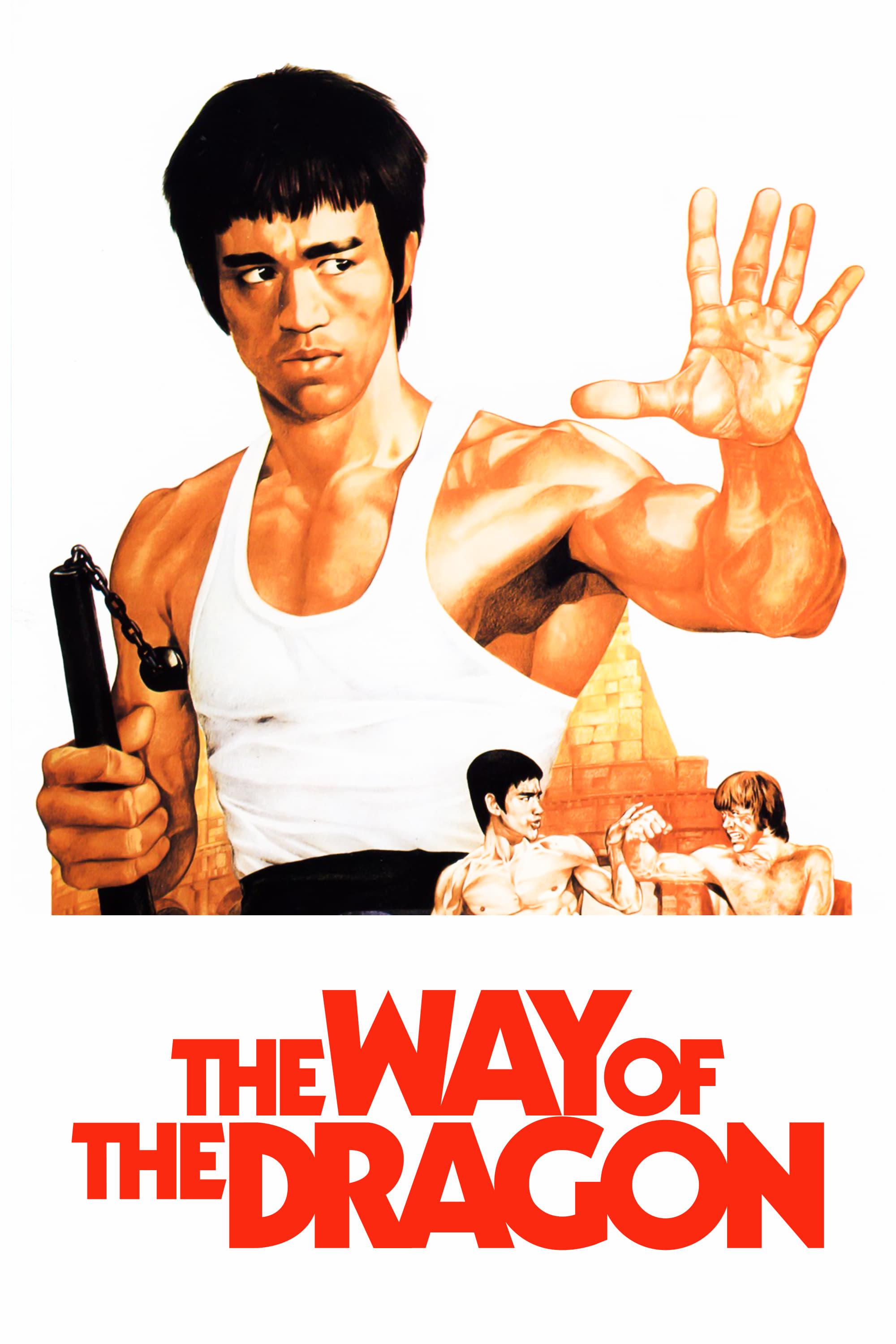 The Way of the Dragon poster