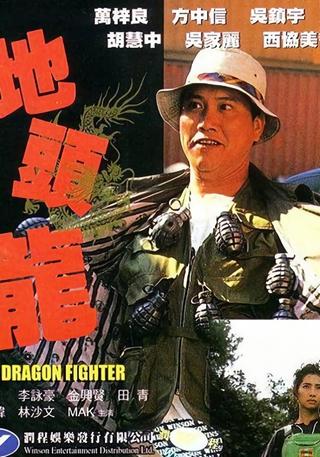 The Dragon Fighter poster