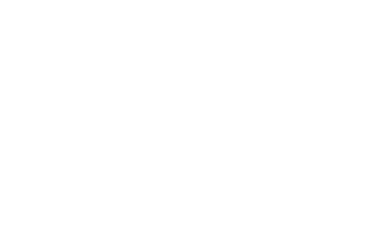 Twenty One Grams logo
