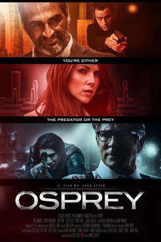 Osprey poster