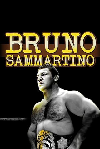 Bruno Sammartino poster