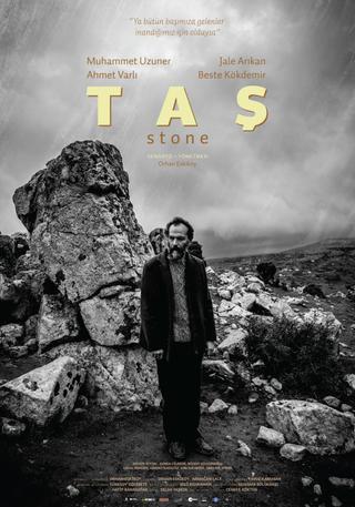 The Stone poster