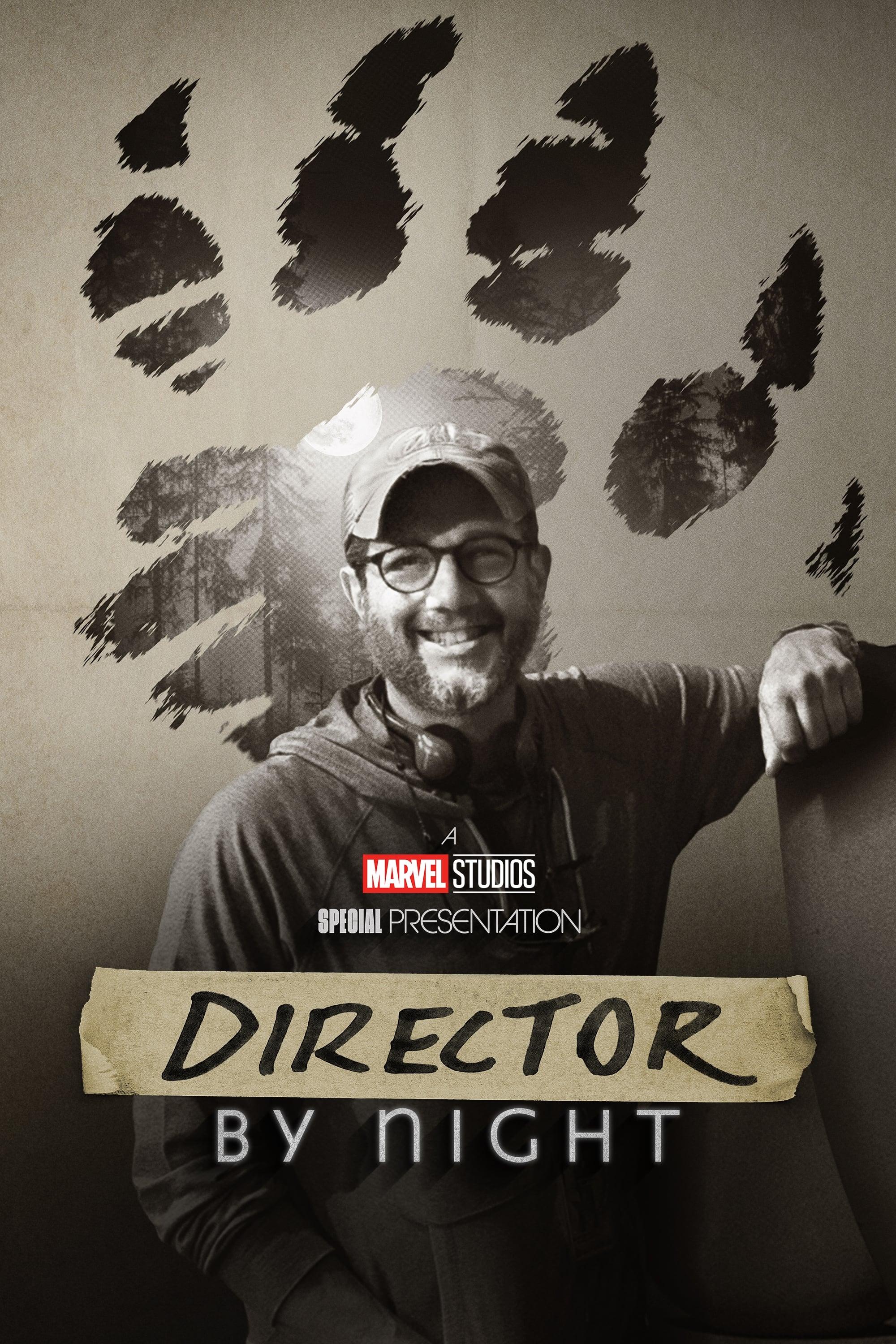 Director by Night poster