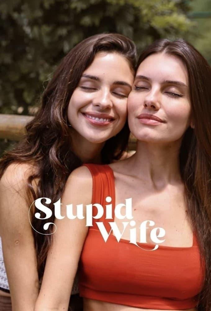 Stupid Wife poster