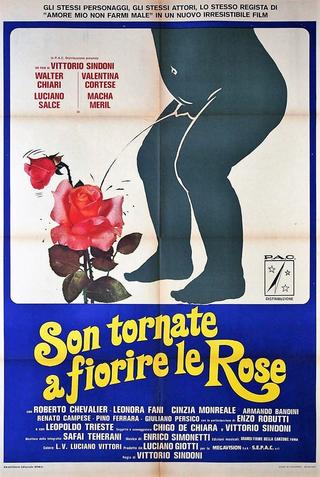 Son tornate a fiorire le rose poster