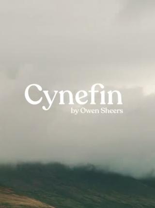 Cynefin poster