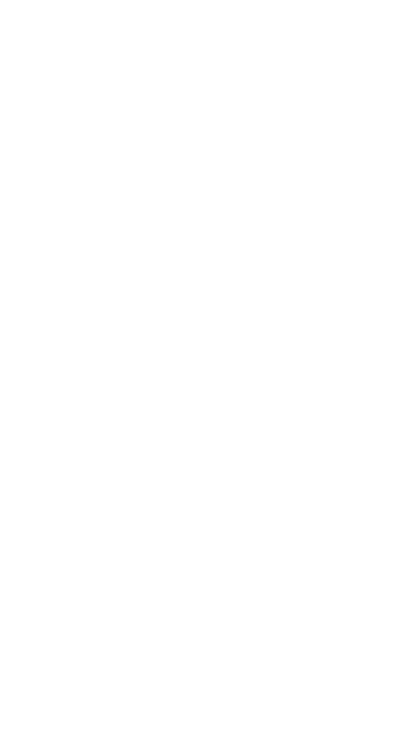 To Live and Die in L.A. logo