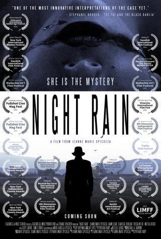 Night Rain poster