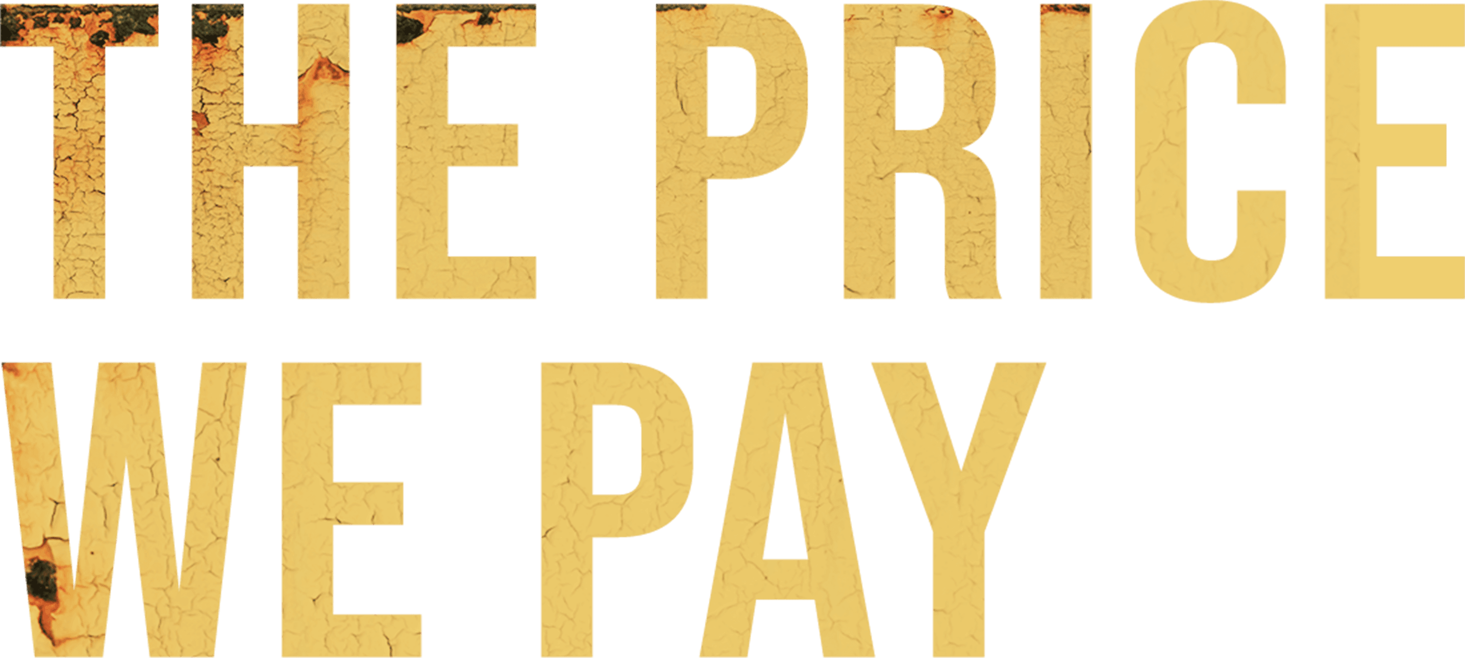 The Price We Pay logo