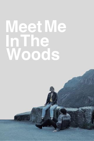 Meet me in the woods poster