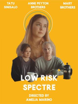 Low Risk Spectre poster