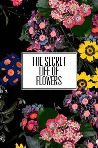 The Secret Life of Flowers poster