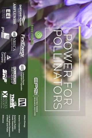 Power for Pollinators poster