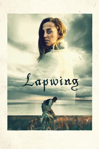 Lapwing poster