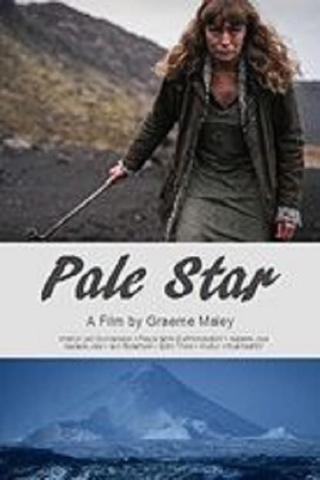 Pale Star poster