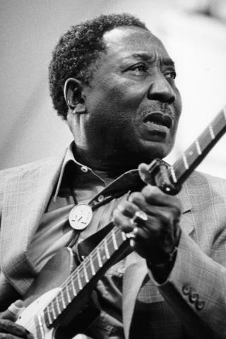 Muddy Waters pic