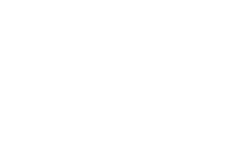 Close Enemies logo