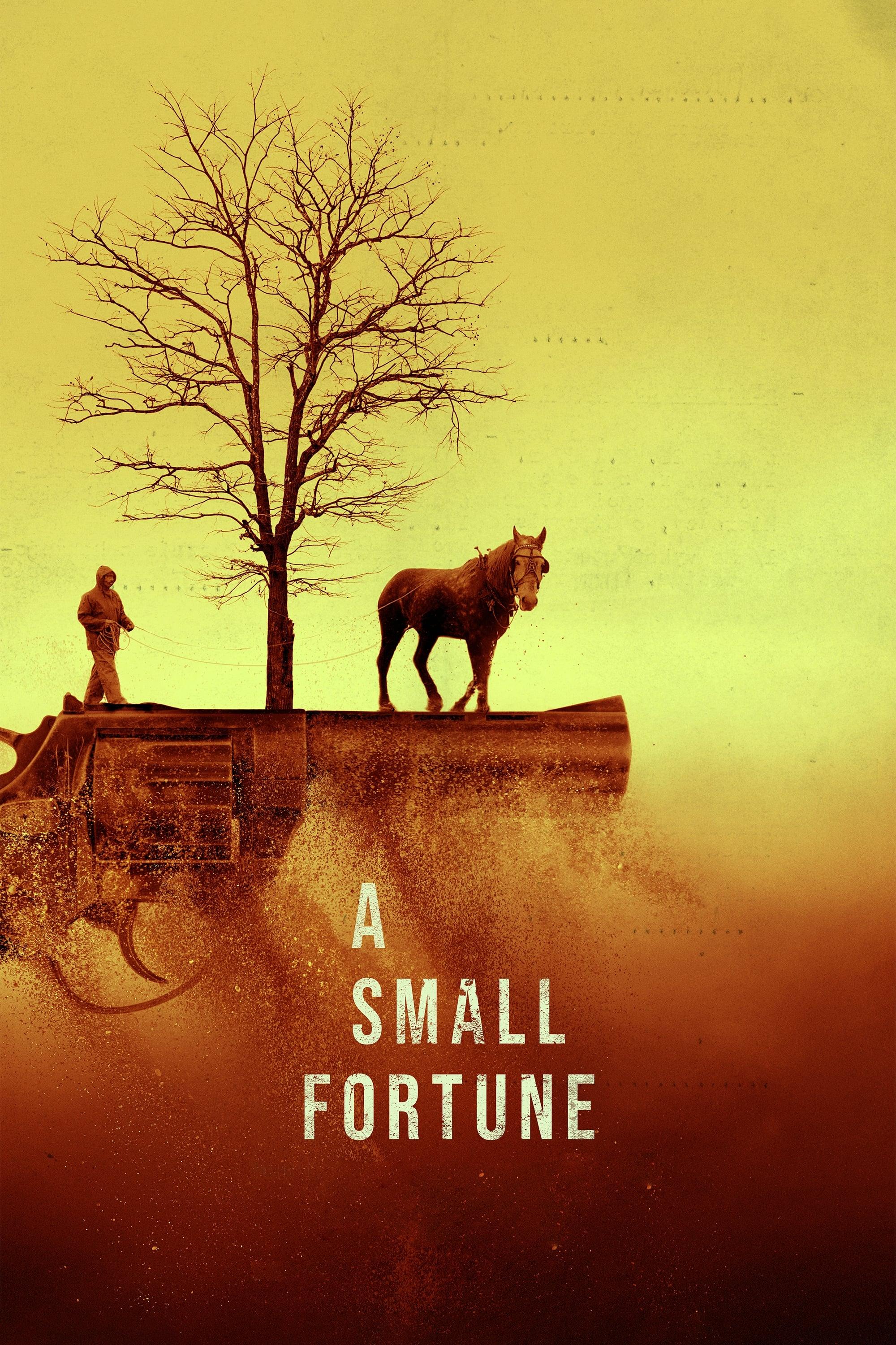 A Small Fortune poster